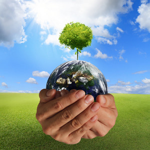 https://cloud.greenorum.com/Posts/14bcd9a82ac30416a8a4d2dc/2D815BFA-5766-4302-943F-DE87A746F2BA.jpg