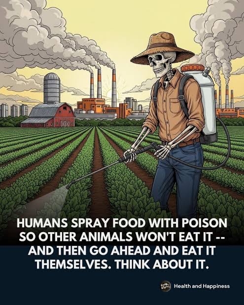 https://cloud.greenorum.com/Posts/3a86723965ef3c8696f4bd53/DE11387E-16A1-4492-9E5F-95848C1BE660.jpg